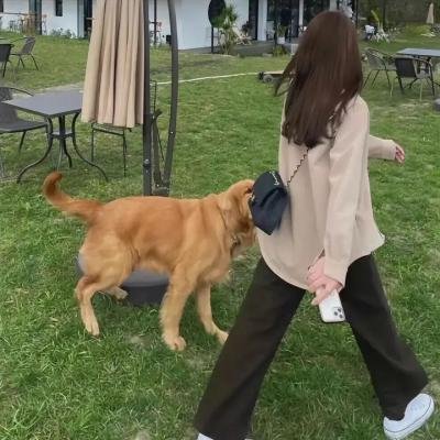 龙的心